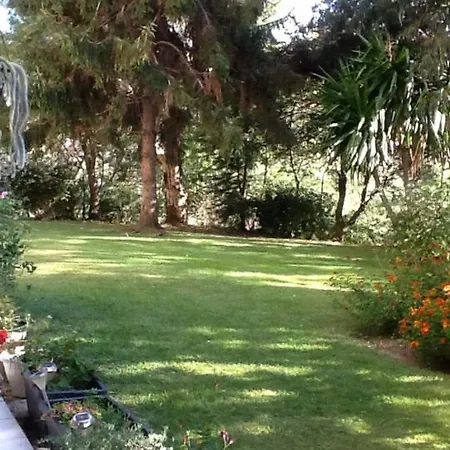 Plein Soleil Mandelieu